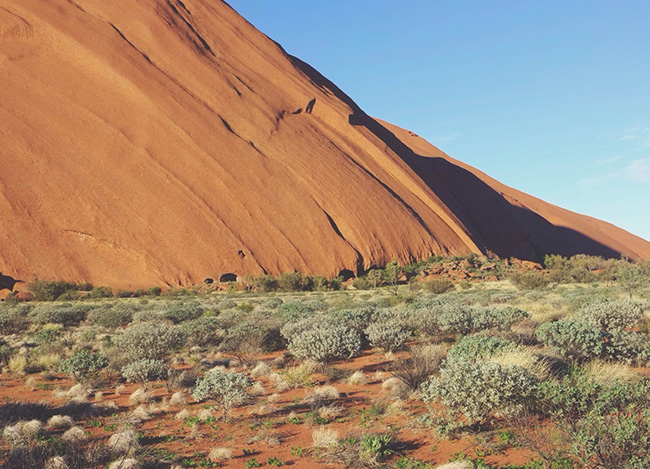 ddos在线攻击平台